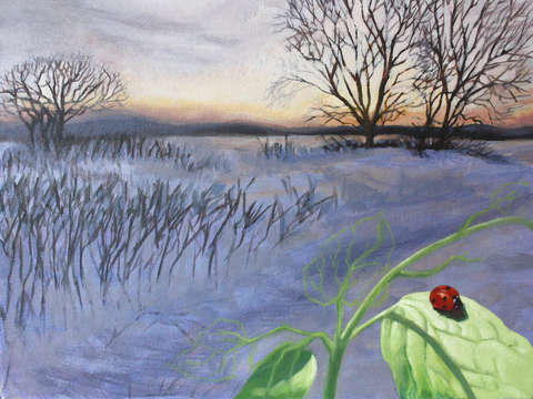 Ladybug dreams 2
