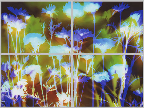 Garden in 4 frames