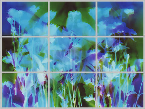 Garden in 9 frames