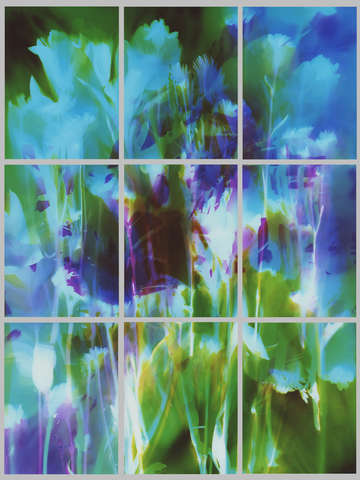 Flowers in 9 frames