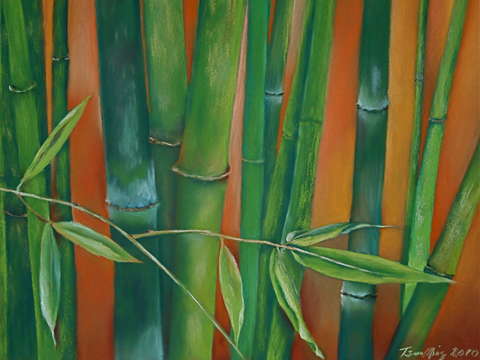 Bamboo orange 2