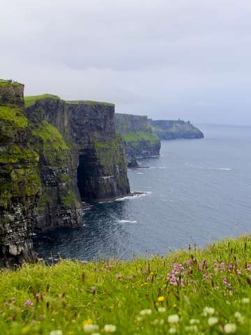 Blooming cliffs of moher