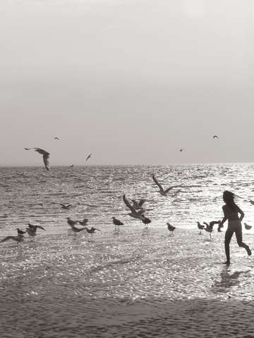 Cape code beach