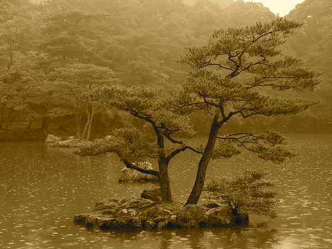 Wabi