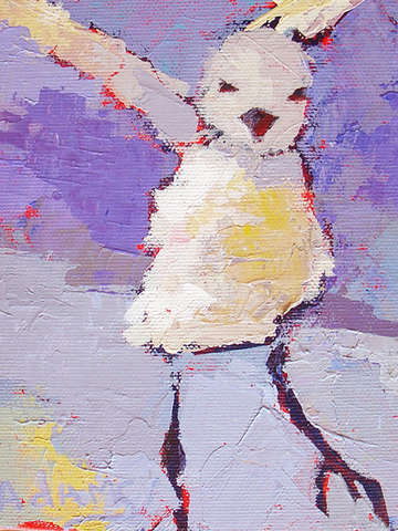 Dancing Baby Plover