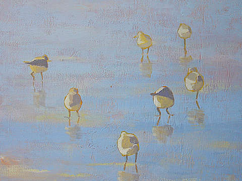 Birds in the mist