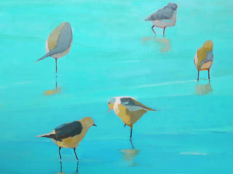 Birds by the waters edge