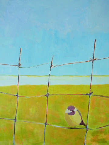 Bird on a fence