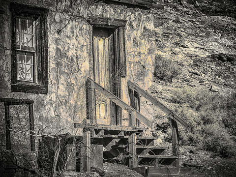 Calico steps