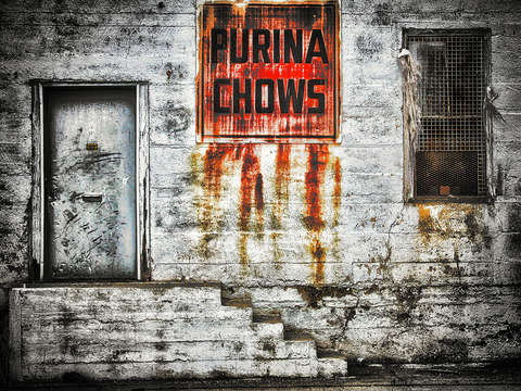 Purina chows