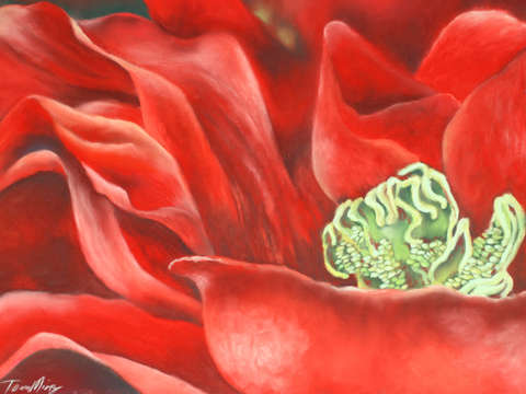 Red 11