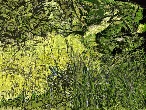 Landscape 9b