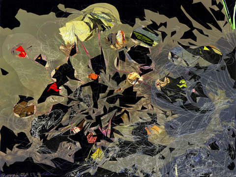 Pond life 2