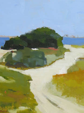 Path to the beach