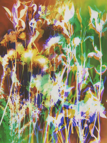 Garden dream