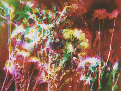 Fire garden