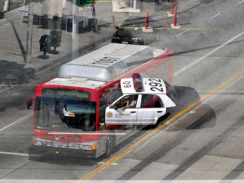 Cop versus bus