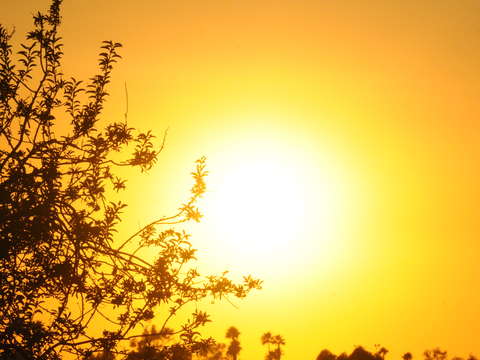 Sunshine