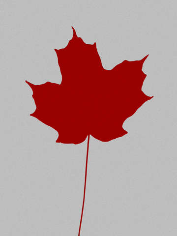 Leaf de jour