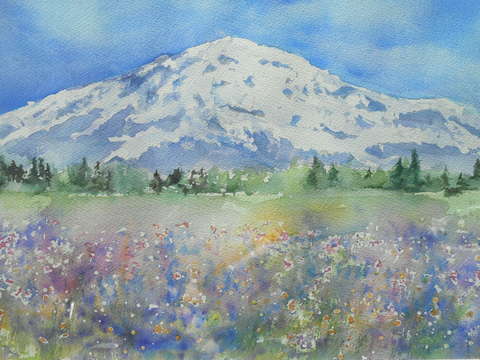 Mt rainier in august 3