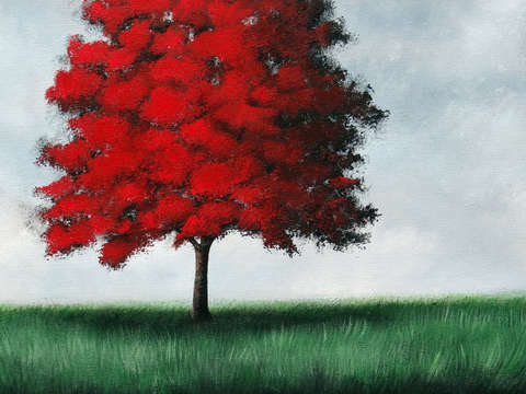 Lady in red 2