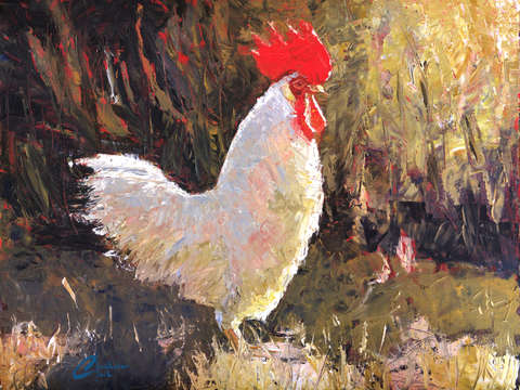Gallo italiano