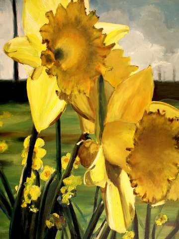 Daffodillias