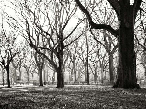 Central park 2