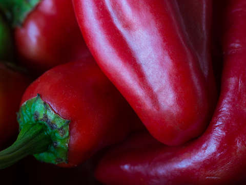 Red peppers embracing