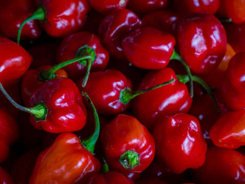 Small red chili peppers