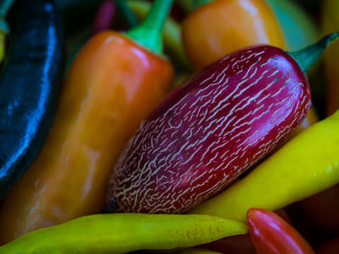 A red jalapeno with friends
