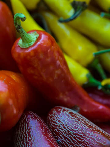 Red and yellow peppers
