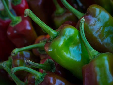 Greenred peppers