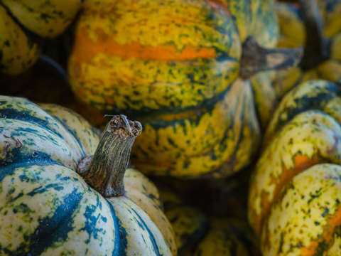 Pumpkins