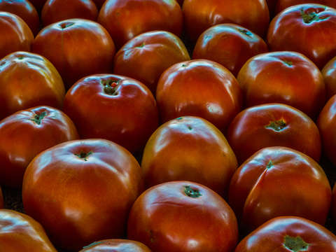 Ripe red tomatoes