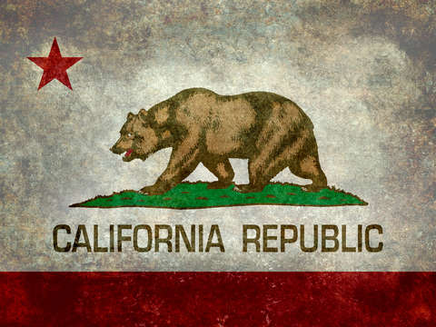 State flag of California