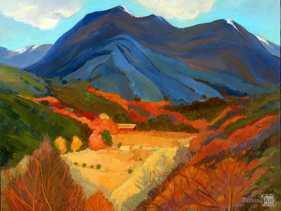 Valdez arroyo