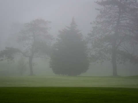 Foggy dawn