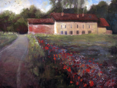 Milan italy field of poppies