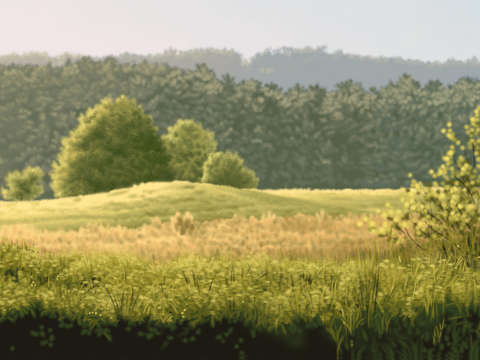 Damariscotta meadow i