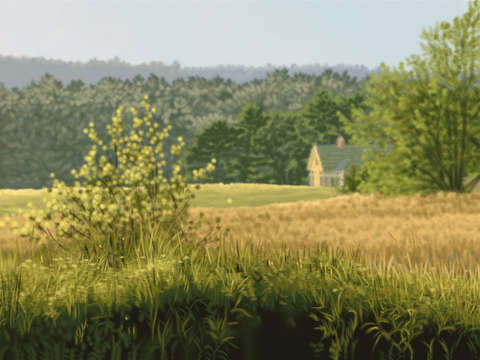 Damariscotta meadow ii
