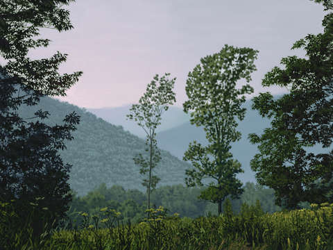 Mettawee valley