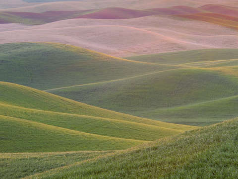 Palouse