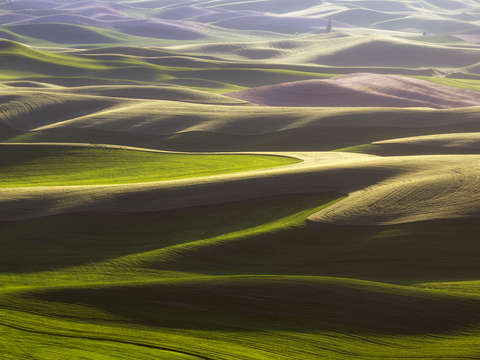 Palouse patterns