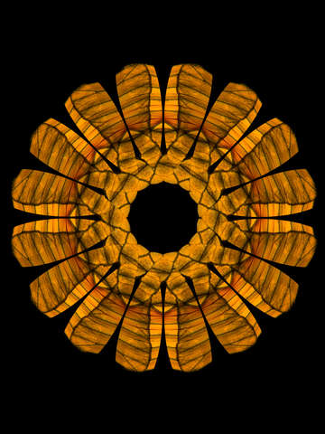Vindula