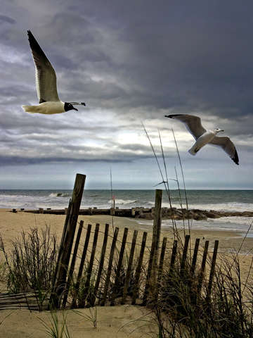 Stormy beach