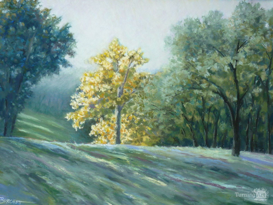 Morning light 4
