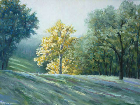 Morning light 4