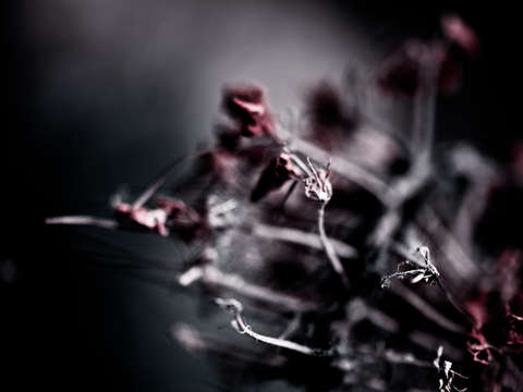 Untitled 95