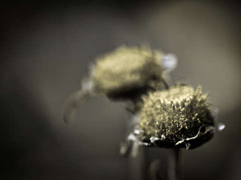 Untitled 2
